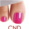 Shellac Added onto any Pedicure